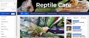 wealthy affiliate and wordpress